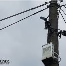 JK농장 이미지