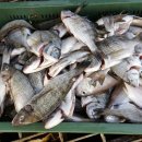 바다풍경펜션 이미지