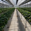 단산농장 이미지