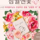 모닝플러스 이미지