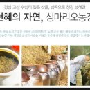 마리오농장 이미지