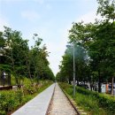 경춘선숲길 이미지