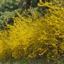 광려천 남로 이미지