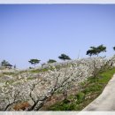 학마을농장 이미지