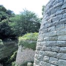 진미청국장 이미지