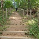 우암산등산로2 이미지