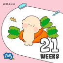 임신 20주 21주 : 정밀초음파 초코우유, 입체초음파, 첫 태동 느끼는 시기 느낌