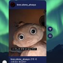 외금 | 쏘쏘한