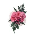 자연-꽃 이미지