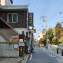 신헤어라인