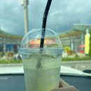 고흥 만남의 광장 | 전남고흥 만남의광장 유자씨의하루 고흥특산품쇼핑