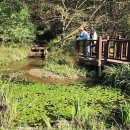 람사르습지길 이미지