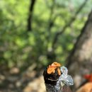 등산] 봄에는 설악산이죠. 공룡능선 코스 준비 및 후기, 하지만 공룡능선 코스는 절대 우습게 보면 안...