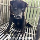 삼육사로44 이미지