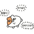동탄역튼튼척의원 네이버블로그