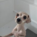 오구오구살롱 이미지