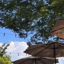 테이스트뷰 이미지