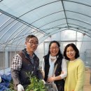 박사농장 이미지