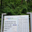 예술대약수터 네이버블로그