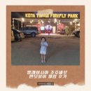 반딧불이 | 말레이시아 조호바루 반딧불이 체험 후기 Kota Tinggi Firefly Park