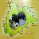 늠내길 1코스 숲길 이미지