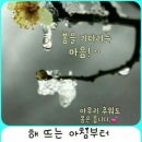 동네지게차