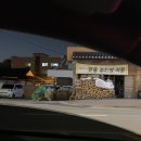오자네왔는가 365곰탕 | [청주맛집/청주 오리고기] 오자네왔는가