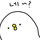 중앙서림 이미지