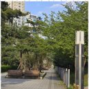 새(금호) 이미지