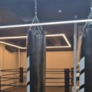 제이투 엘리트 복싱 이미지