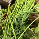 대구맛집(철뚝너머그집) 이미지