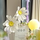 바이제이미