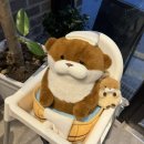 행복카세 이미지