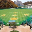 남해스포츠파크 야구장 이미지