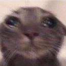 충무새힘한의원 | 260228 뮤지컬 <홍련> 총첫 후기_ 기본정보_ 충무아트센터 중극장 블랙 B구역 시야_ 김이후 김경민...