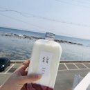 트렌타쥬스 이미지