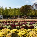 드림파크 이미지