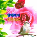 언제 이렇게 깊이 정이 들었을까 이미지