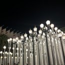 양지-3515 | [미국서부 신혼여행] 로스엔젤레스 뮤지움 더라인호텔 LA한식 선농단