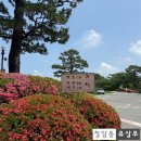 현대자동차그린서비스진해점 | [진해 용원cc] 회원제 명문 골프장 무학 코스 라운드 후기 (Feat. 코스 공략법)