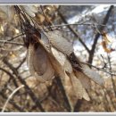 새들민박 이미지