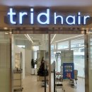트리드헤어 | 세종 1인샵 미용실 추천 트리드헤어 머리 잘하는 미용실 컷트 맛집 모발 클리닉 솔직 후기