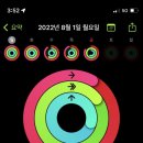 뉴스타휘트니스 이미지