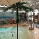 보라보라푸드팰리스 이미지