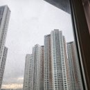 유보라더스마트 앞 | 고양시 일산 주상복합 아파트 오피스텔 유리창 청소 장항동 한류월드 유보라 더 스마트 후기