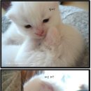 뽀뽀로야 이미지