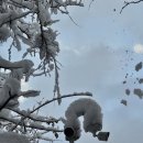 서울다원학교 이미지