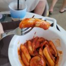 코코독스 이미지