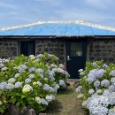 제주독채펜션돌담감성숙소밭담점 이미지