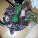 해순농장 이미지